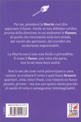 Ho un Fuoco nel Cassetto — Libro - 2