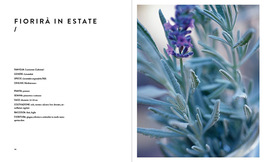 Home Kitchen Garden — Libro - 4
