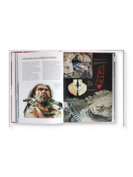 Homo Sapiens — Libro - 2