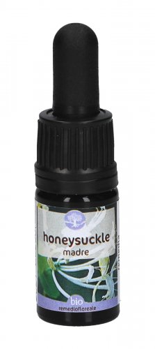 Honeysuckle - Soluzione Madre - 1