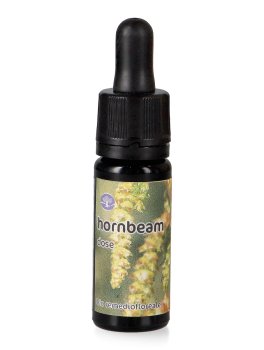 Hornbeam - Dose - 1