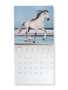 Horse 2027 - Calendario Da Parete — Calendario - 3