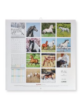 Horse 2027 - Calendario Da Parete — Calendario - 4
