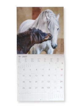 Horse 2027 - Calendario Da Parete — Calendario - 2