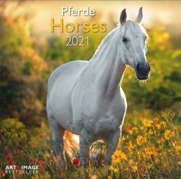 Horses - 2021