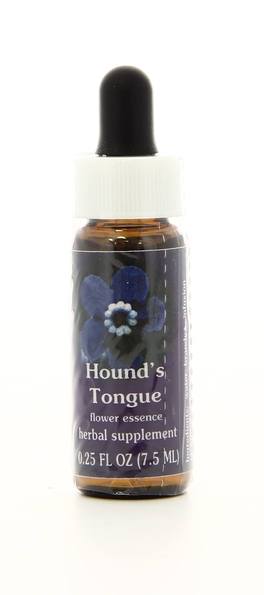 Hound's Tongue - Fiori californiani - 1