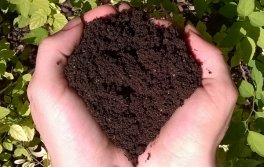 Humus di Lombrico - Powercompost® - 3 l - 3