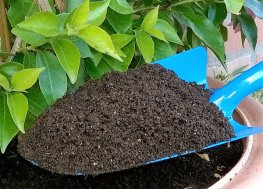 Humus di Lombrico - Powercompost® - 3 l - 4