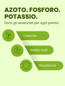 Humus di Lombrico - Powercompost® - 5