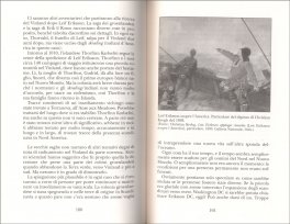 I 10 Disastri Climatici che hanno Cambiato il Mondo — Libro - 3