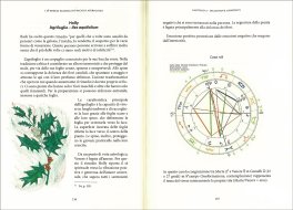 I 38 Rimedi Floreali di Bach in Astrologia — Libro - 3