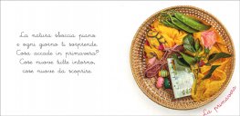 I Cestini delle Stagioni — Libro - 3