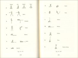 I chakra — Libro - 3