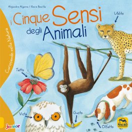 I Cinque Sensi degli Animali — Libro - 1