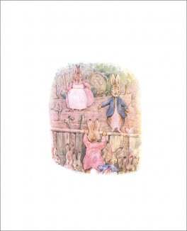 I Coniglietti Flopsy Bunnies — Libro - 3