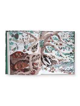 I Fantastici Regni delle Fate — Libro - 3