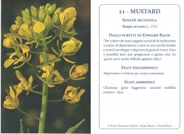 I Fiori di Bach - Rimedi della Natura — Libro - 5