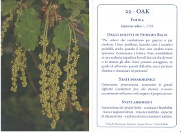 I Fiori di Bach - Rimedi della Natura — Libro - 6