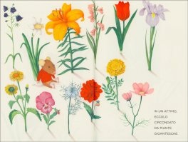 I Fiori di Carlo — Libro - 3