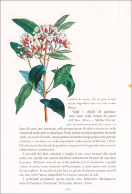 I Fiori: Il Libro che si Trasforma in un'opera D'Arte — Libro - 3
