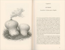 I Funghi dell'Anima — Libro - 3