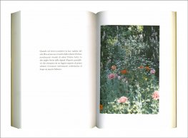 I Giardini Venuti dal Vento — Libro - 3