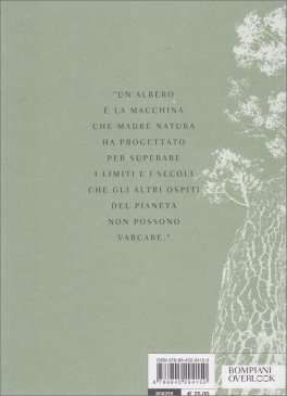 I Giganti Silenziosi — Libro - 2