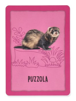 I Giochi di Carte Montessori - Animali del Mondo - 3