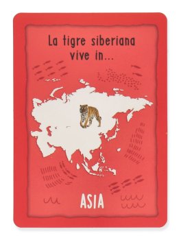 I Giochi di Carte Montessori - Animali del Mondo - 4