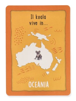 I Giochi di Carte Montessori - Animali del Mondo - 6