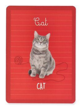 I Giochi di Carte Montessori - Funny English - 3
