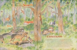 I Lupi delle Alpi — Libro - 3