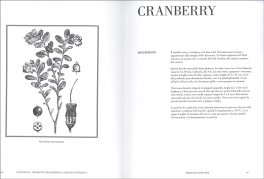 I macro e micro nutrienti nella frutta secca, disidrata, nei semi oleosi e nei prodotti macinati — Libro - 3