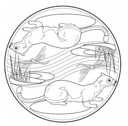 I Mandala degli Animali del Bosco — Libro - 4