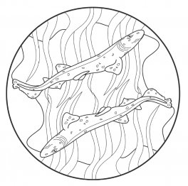 I Mandala degli Animali del Mare — Libro - 3