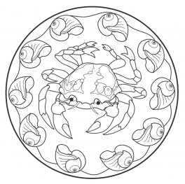 I Mandala degli Animali del Mare — Libro - 4