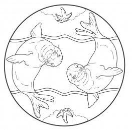 I Mandala degli Animali del Mare — Libro - 2