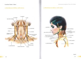 I Meridiani Shiatsu - Atlante — Libro - 3