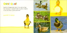 I Miei Piccoli Amici Animali — Libro - 3