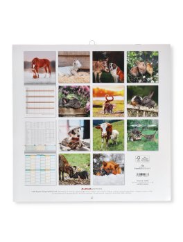 I Migliori Amici - Calendario Familiare 2026 — Calendario - 3