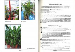 I Mille Segreti dei Fiori e delle Piante — Libro - 3