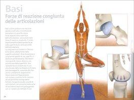I Muscoli Chiave dello Yoga — Libro - 3