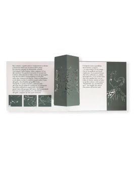I Musicanti di Brema — Libro - 2