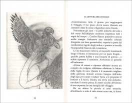 I Nuovi Sciamani — Libro - 3