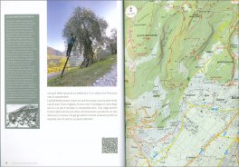 I Patriarchi dei Nostri Boschi — Libro - 3