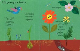 I Piccoli Segreti della Natura — Libro - 3