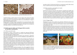 I Prodotti dell' Alveare — Libro - 6