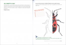 I Quaderni della Natura - Gli Insetti — Libro - 3