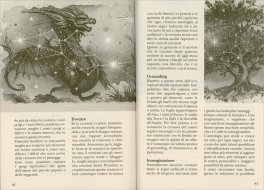 I Reami del Piccolo Popolo — Rivista - 4