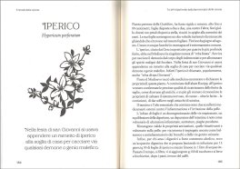 I Rimedi della Nonna — Libro - 3